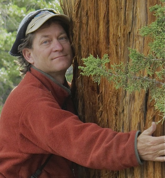 Brock with a redwood tree