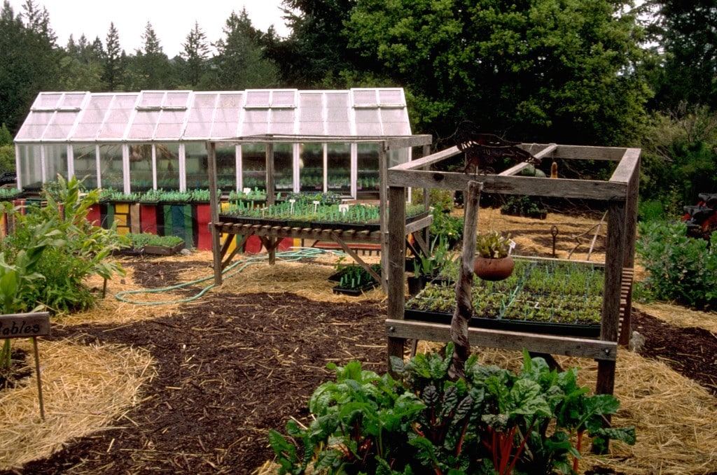 Organic Nursery Occidental Arts & Ecology Center