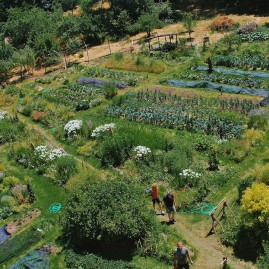 OAEC garden