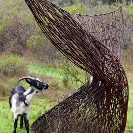 Goat and sculpture