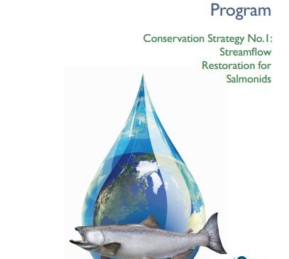 Salmon Creek Conservation Strategies