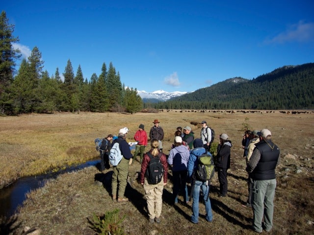 Child's Meadow Beaver Restoration Workshop