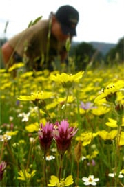 img-wildlands-the-place