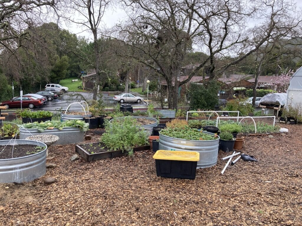 Community Action Marin
