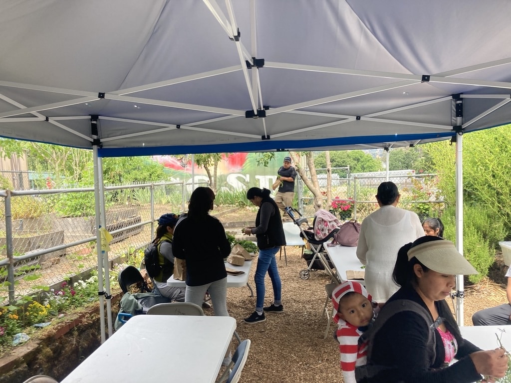 Community Action Marin
