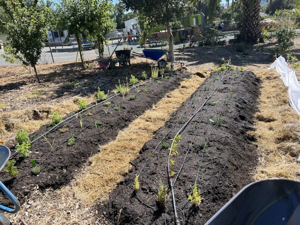 Community Action Marin
