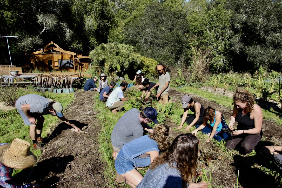 Sign up for Food Forests and Permaculture Design Courses