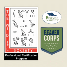 BeaverCorps Training and Wildlife Society logo