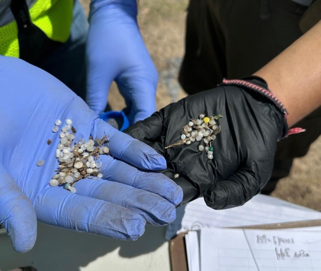 plastic pellets