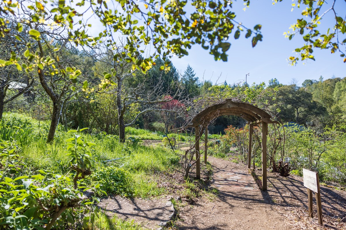 Trellis entry to the OAEC Garden