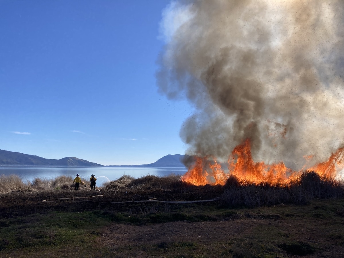 Tribal EcoRestoration Alliance