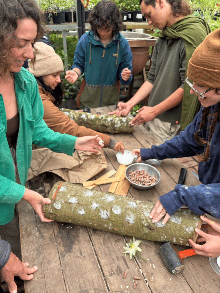 Food Forests