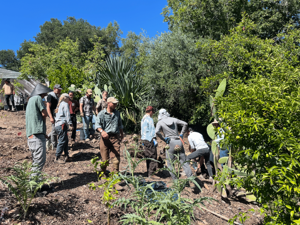 Food Forests 2026
