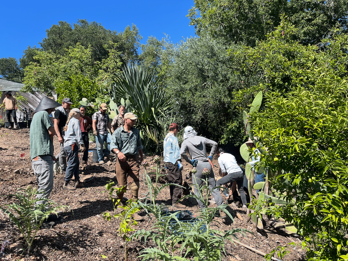 Food Forests 2026